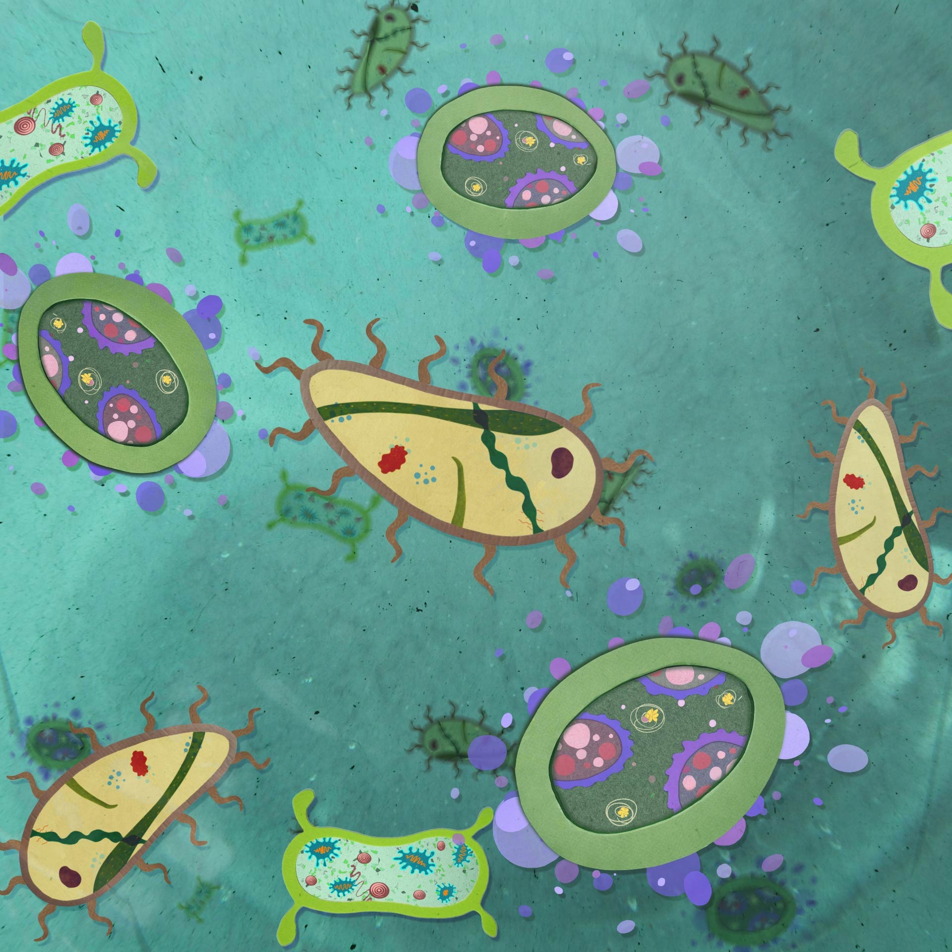 Cellular World